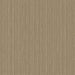 Papel Tapiz Tropicano - Cozy 9904-5 Hugga Store papel de colgadura huggastore.myshopify.com Hugga Store